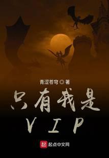 只有我是VIP